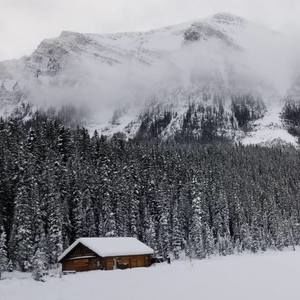 Meet your Posher, Jack